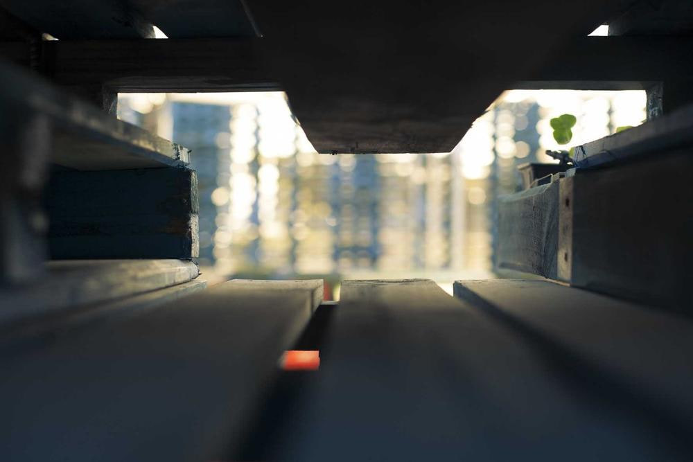 Lorong bend under canopy shadow
